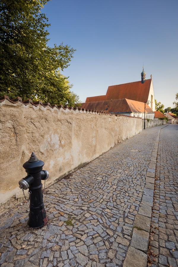 Pstrossova Vila - U Klasterni Zahrady Bechyně Buitenkant foto
